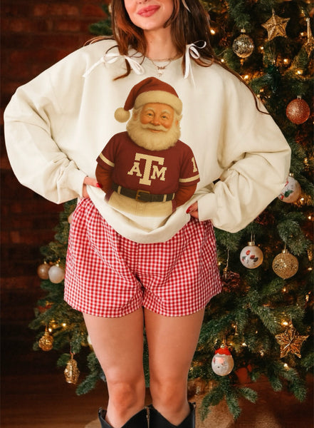 Merry Mascot Sweatshirt or tee