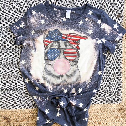 Patriotic kitty on stars