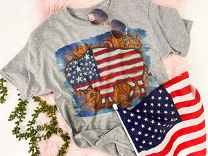 Patriotic flag Buffalo tee